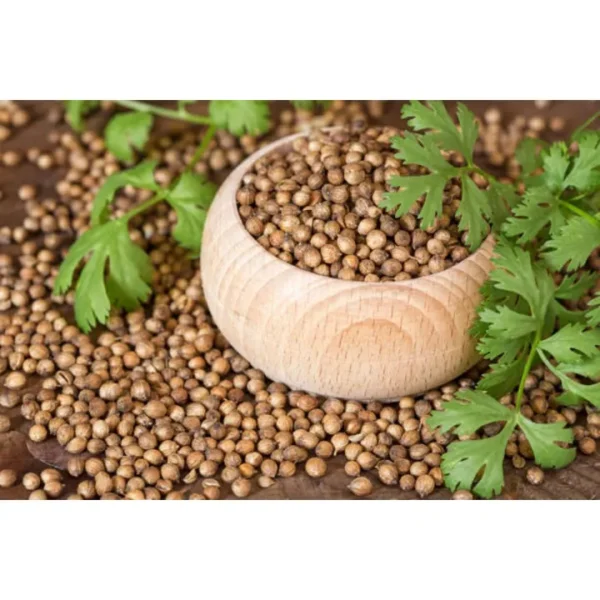 Coriander seeds - Image 2