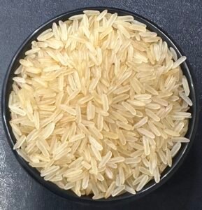 IR 1010 Rice